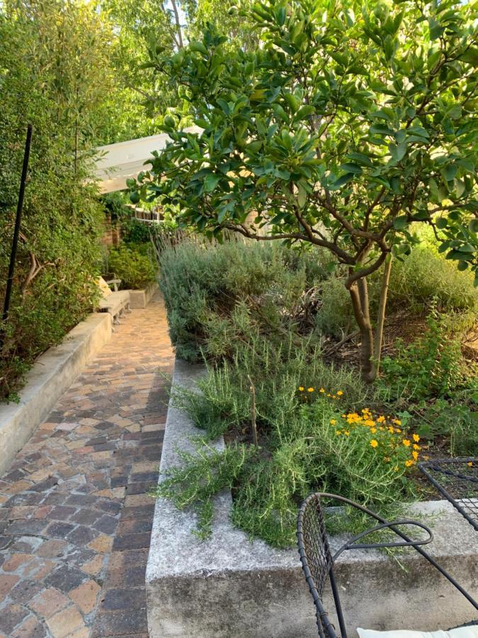 Courtyard Studio Lights And Wi Fi During Load Shedding Stellenbosch Extérieur photo